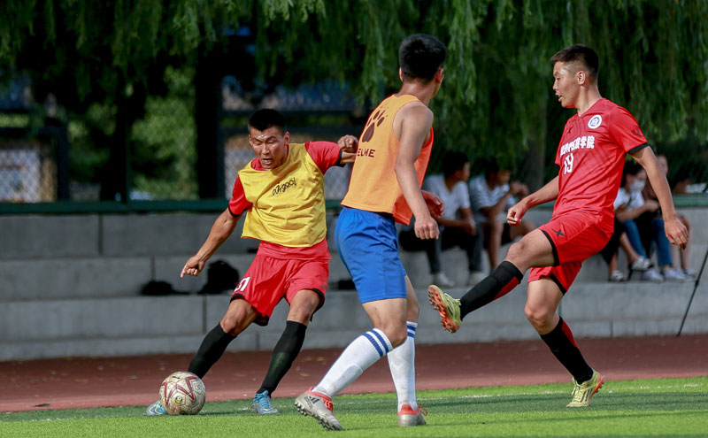 IFFHS年度最佳教练：恩里克第一，马雷斯卡、弗里克分列二三（IFFHS年度最佳教练评选：恩里克夺魁，马雷斯卡与弗里克分获亚季军）