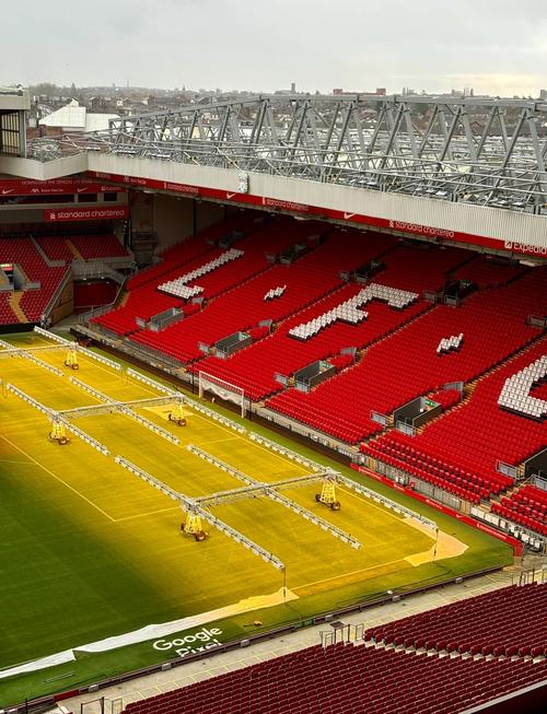 范德法特：C罗训练中总是特别专注，我连他的5%都做不到